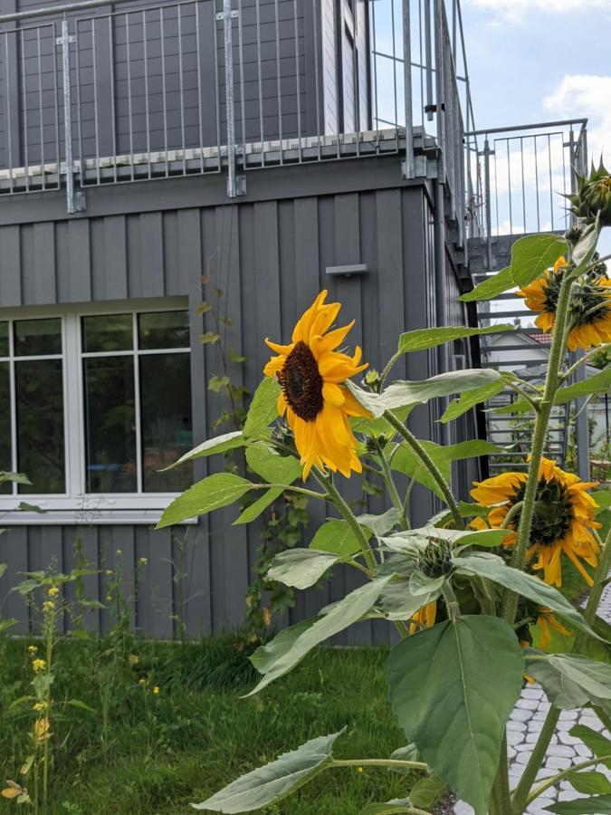 Villa Haus Zur Aach Tinyhouse Uhldingen-Mühlhofen Exterior foto